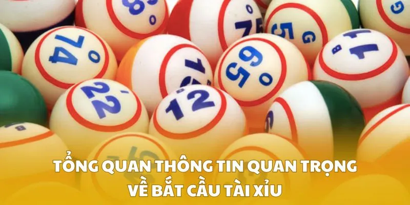 Tổng quan thông tin quan trọng về bắt cầu tài xỉu