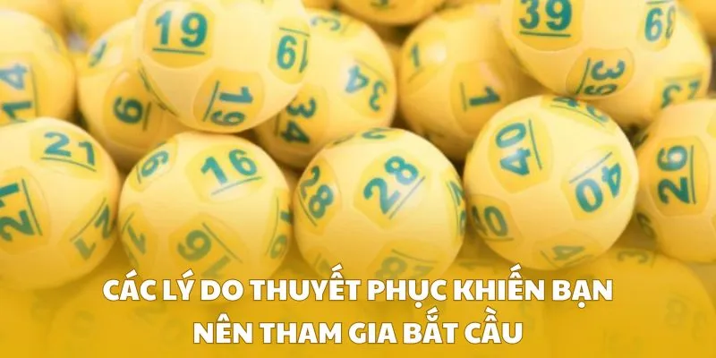 Các lý do thuyết phục khiến bạn nên tham gia bắt cầu