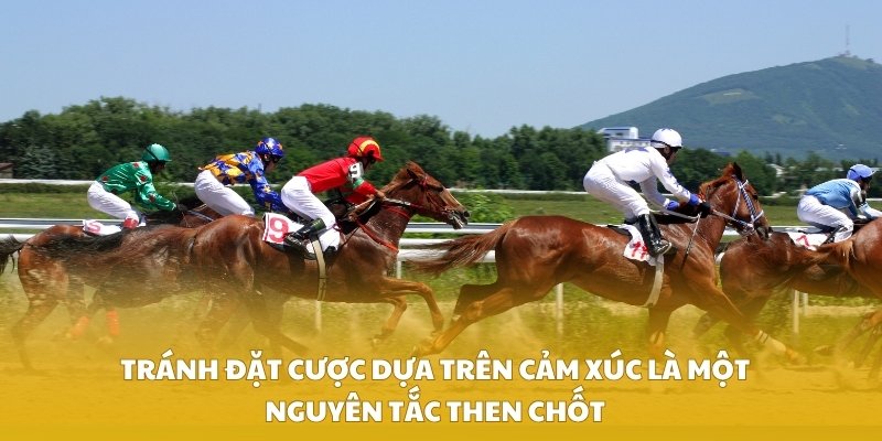 Tránh đặt cược dựa trên cảm xúc là một nguyên tắc then chốt