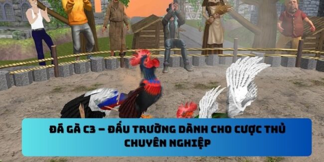 Đá Gà C3