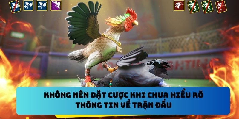 Không nên đặt cược khi chưa hiểu rõ thông tin về trận đấu