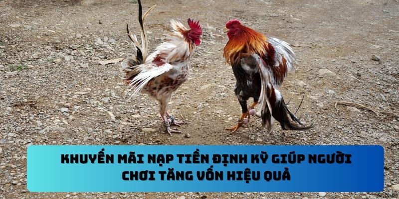 Khuyến mãi nạp tiền định kỳ giúp người chơi tăng vốn hiệu quả