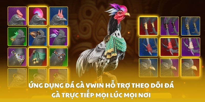Ứng dụng đá gà VWIN hỗ trợ theo dõi đá gà trực tiếp mọi lúc mọi nơi