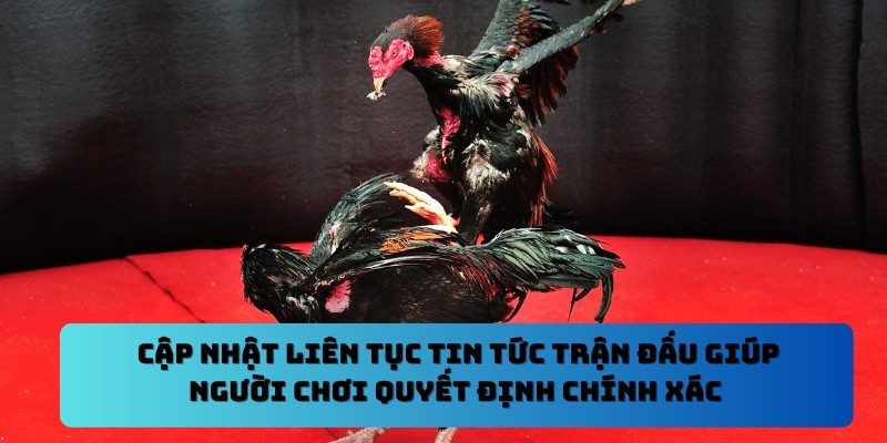 Cập nhật liên tục tin tức trận đấu giúp người chơi quyết định chính xác